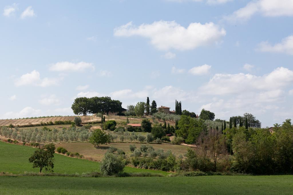 Agriturismo Cignan Rosso Villa Кастелина ин Кианти Екстериор снимка